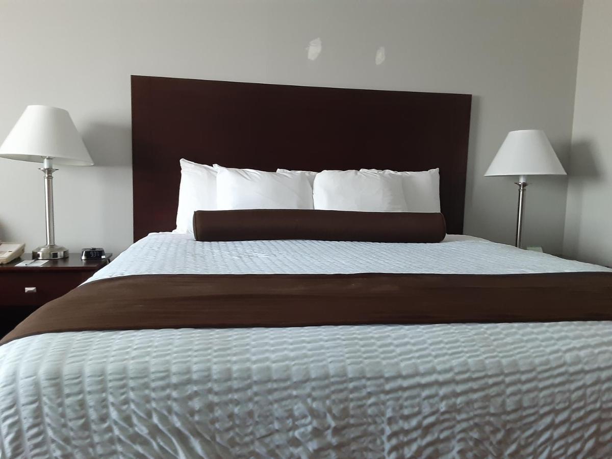 Boarders Inn & Suites By Cobblestone Hotels Superior Bagian luar foto
